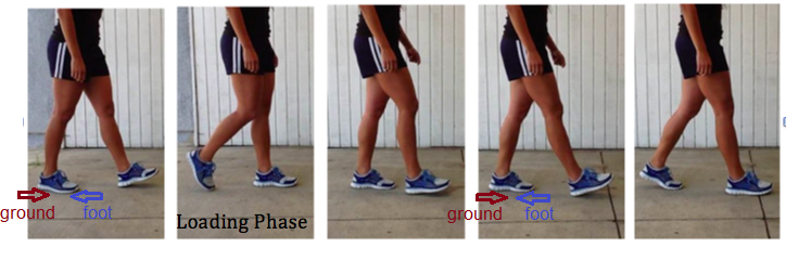 Walking gait